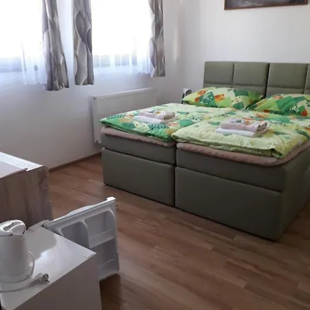 招待所 Na Hrazi 波杰布拉迪